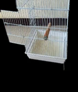 للبيع فيشر شرط فل ربوه يوقف على