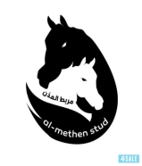 خدمه تعليم ركوب الخيل🏇 خدمة ربط الخيل 🐴 خدمه نقل الخيل 🐎