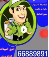 شركة ريجنت الالمانية