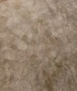 جلسه ارضيه 12 متر