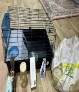 Voltrega rabbit cage and accessorie
