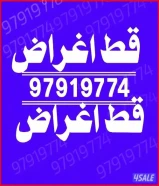 قط اغراض المحرقه ازاله الأغراض القديمه نقل عفش سكراب انقاض توالف نفايات اثاث قديم