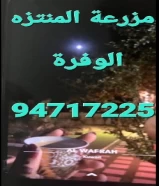 مزرعة المنتزه الوفرة ٩٤٧١٧٢٢٥