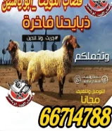 قصاب تحت الطلب