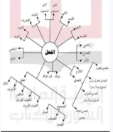 مدرس لغة عربية