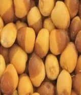 رطب خلاص- روتانا51747888