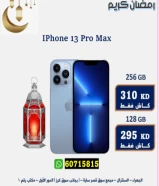 iPhone 13 Pro Max 256 GB