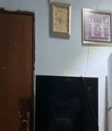 مطلوب فرد مشاركه سكن - السالمية