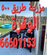 مزرعة طريق ٥٠٠الوفرة ٦٦٦٠١١٥٣