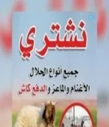 نشتري غنم ومعزا العدد مفتوح والدفع كاش