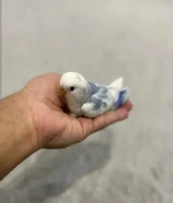 لوف بيرد مستعجل