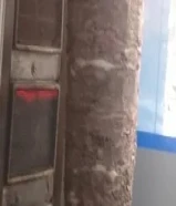 معلم شاورما نطلب عمل