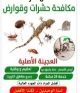 مكافحة جميع الحشرات والقوارض جميع مناطق الكويت كفاله سنه علي جميع أعمالنا