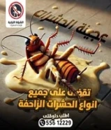 مكافحة الحشرات والقوارض والصراصير وبق الفراش والفئران والبريعصى والنمل