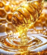 عسل نحل من اجود الانواع الموجوده ف السوق وتحدي