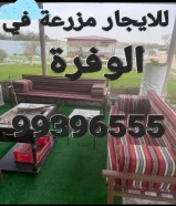 للايجار مزرعة في الوفرة ٩٩٣٩٦٥٥٥