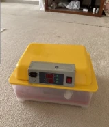 فقاسه للبيع