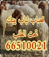 قصاب تحت الطلب +زبايح للبيع الكويت