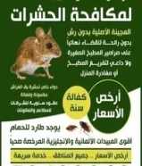شركة مكافحة جميع الحشرات