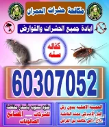 شركة مكافحة حشرات شركة قوارض شركة رش حشرات شركة مكافحة قوارض رش مبيدات مواد اصلية كفاله سنه محافظات