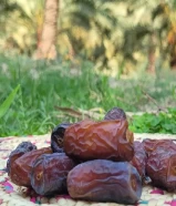 بيع التمر بالجملة والتصدير بدون وساطة" "نحن نقدم أفضل أنواع التمر للبيع بالجملة والتص