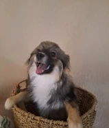 ذكر عمره 11 شهر