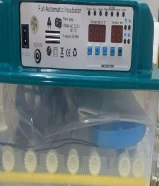 فقاسه 36 بيضه تعمل ع الطاقه والبيت