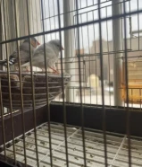 ‏زبرة كان منتج