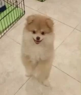 للبيع البنت وابوها