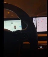 مطلوب كلب للتبني الدائم أو المؤقت