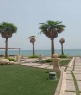 ابو ناصر لصيانه النخيل وتنظيف وتكريم وتسميه ورش رش الحشرات