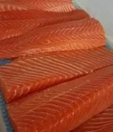 اسماک سالمون ایرانیه