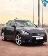 ماكسيما وكاله