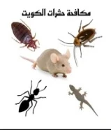 مكافحة جميع الحشرات والقوارض جميع مناطق الكويت