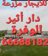 للايجار مزرعة دار اثير الوفرة ٦٦٦٨٨١٨٢