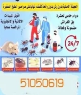 مكافحة الحشرات والقوارض خدمة 24 ساعة جميع مناطق الكويت أرخص الأسعار كفالة سنه51050619