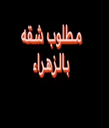 مطلوب شقه في الزهراء