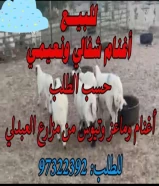 للبيع شفالي ونعيمي حسب الطلب ٩٩٩٤١٣٣٣