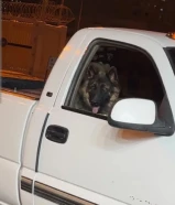 ضايع مني جيرمن