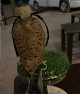 طيرررررررررر