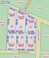 للبيع مزارع بالعبدلي مساحات مختلفة