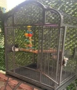 للبيع قفص كبير يوسع مكاو وجميع انواع البغباء القفص نظيف شبه جديد مع كامل اغراضه ......