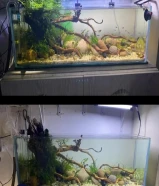 FULL SETUP AQUARIUM AND FULL ACCESORIES