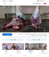 استيراد لحم نعام