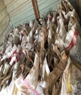 حطب سعودي رمث ارطه غضا سمر