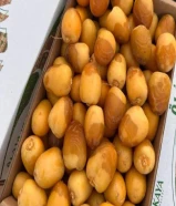 رطب اخلاص وادي الدواسر