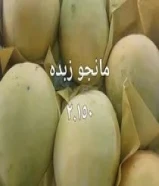 شركة فرضتكو للخضار والفواكه