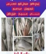 جميع الأسماك تنضيف وتوصيل جميع مناطق الكويت ثقتكم بنا تبدأ من التجربة الاولي