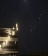 للبيع كلب مالتيز (ذكر)