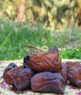 بيع التمر بالجملة والتصدير بدون وساطة" "نحن نقدم أفضل أنواع التمر للبيع بالجملة والتص